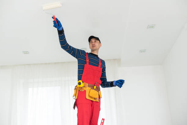 Best Drywall Removal and Disposal  in Bellview, FL