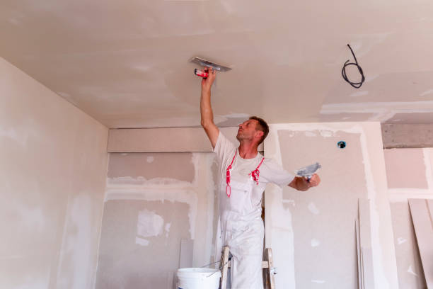 Our Painting Process in Bellview, FL